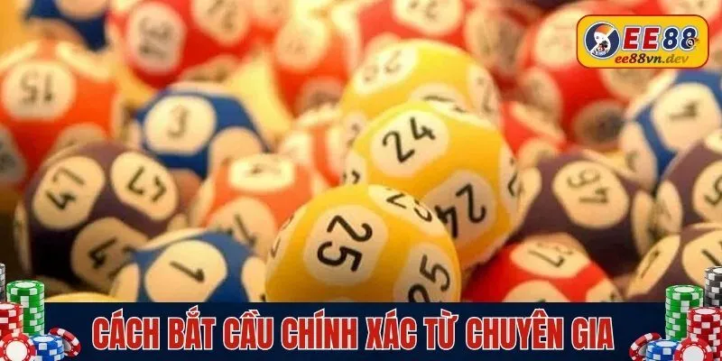 Cách bắt cầu chính xác từ chuyên gia