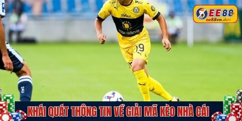 Vài điều về giải mã kèo nhà cái