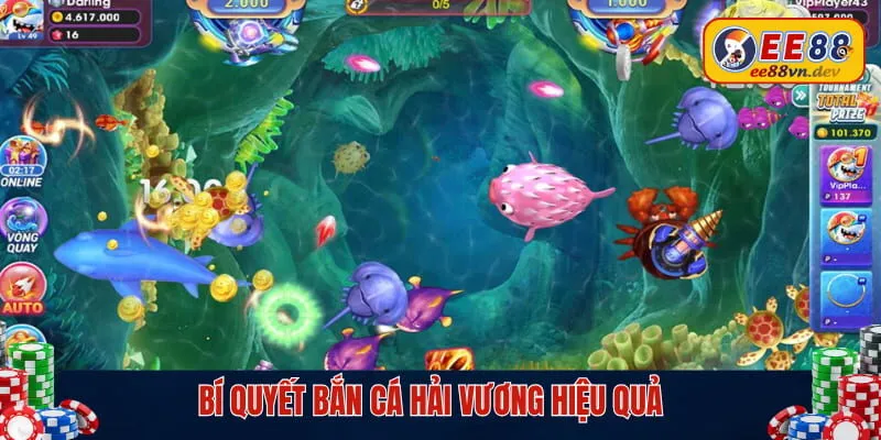 Bí kíp săn cá chuyên gia bật mí